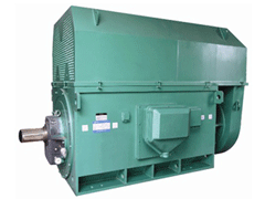 樟树Y系列6KV高压电机品质保证